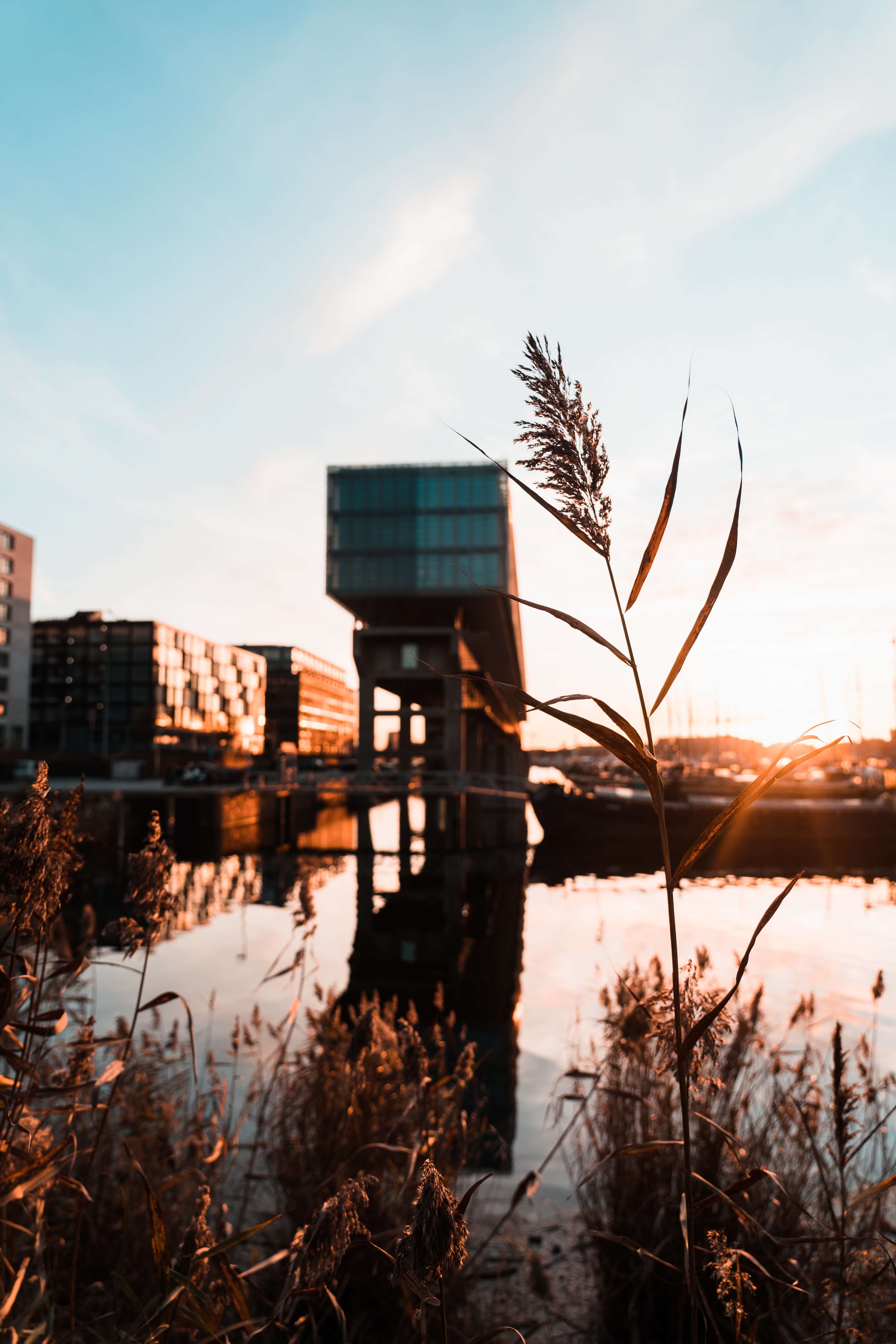 building on lake with wheat in foreground