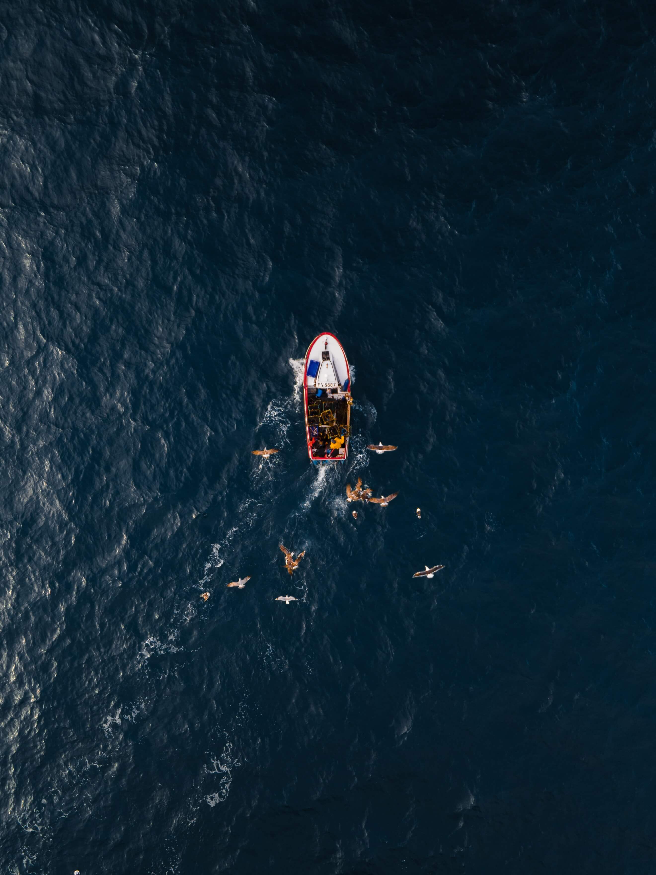 row boat out at sea